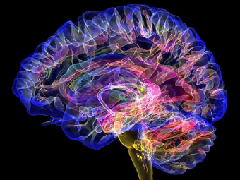 插美b网大脑植入物有助于严重头部损伤恢复